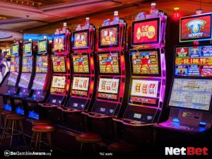 l55|Cassino Ao Vivo com Suporte VIP 24h – Baixe o App